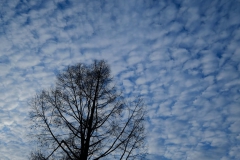 DSCF4959-桧原湖（四季の森山荘近く）